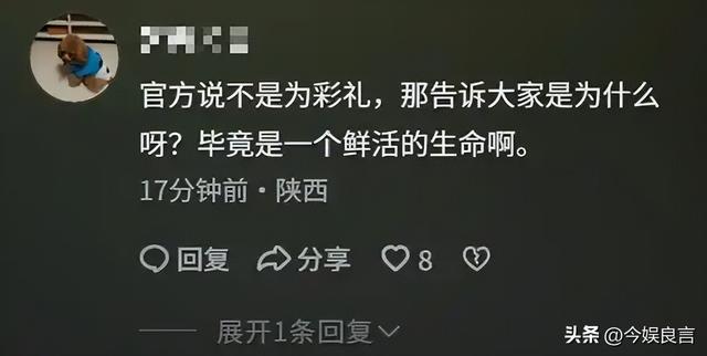 新郎跳河新后续：婚车上争吵不停，女方撇清关系，最后1句话曝光