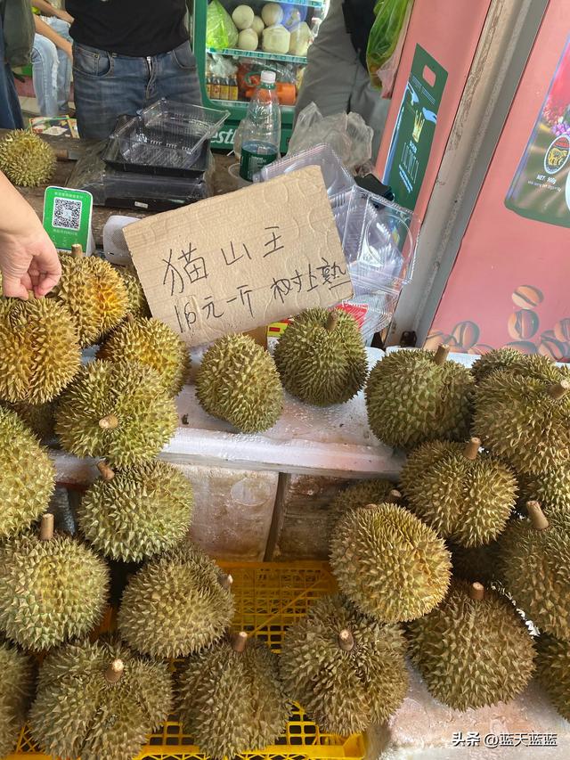 全国自驾游之广西东兴口岸篇