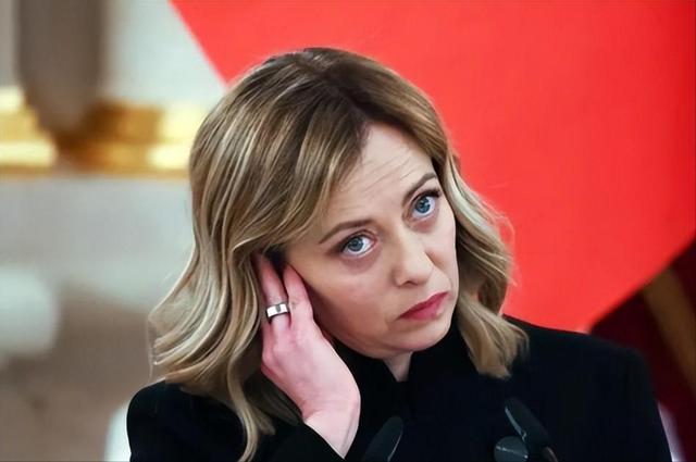 意大利听证会上，我国被捕IT工程师一句话，直接让美西方无奈