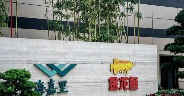 新加坡总理公开支持高市后，被罚18亿账单的金龙鱼，凉得更快了