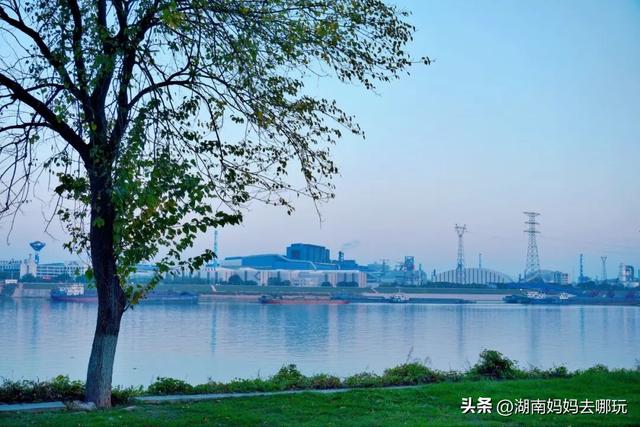 0.5H直达长株潭私藏“小白洋淀”，荻花摇曳处解锁老船厂遛娃秘境！