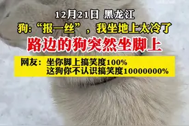 路边的狗突然坐脚上 网友：这狗你不认识搞笑度10000000%图片