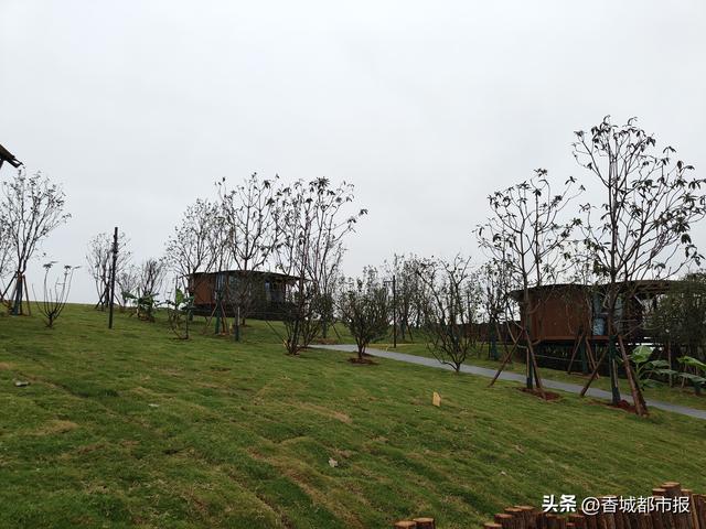 微度假自然秘境，迎接四面八方游客——咸宁向阳湖国家湿地公园即将焕新开园
