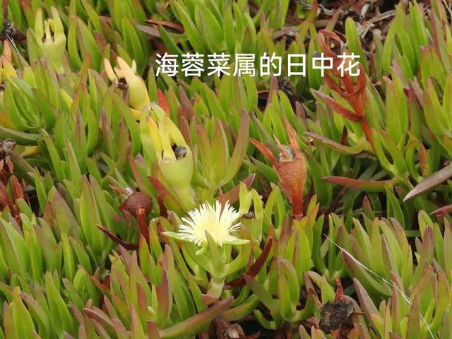 游览葡萄牙的罗卡角
