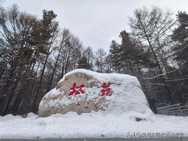 🔥漠河3天2晚封神攻略！打卡中国最北，泼水成冰+驯鹿互动！