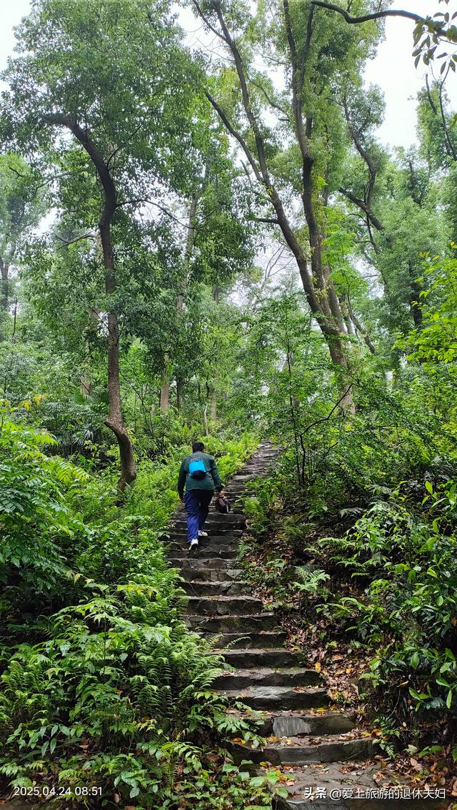 出游第7站-岳阳：因去的不是时候,愉悦与失落参半,岳阳楼值得登吗