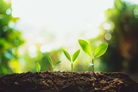 爷爷说狠狠记住30条神秘玄学：碎镜勿留家中，免得断了运气的连续图片