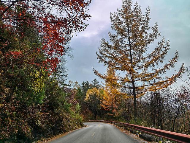 2024深秋四川行19 神农架风景区2 华中屋脊的五彩秘境