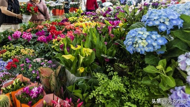 真的让人没想到，云南昆明这两个地方这么火爆还免费，游客这么多