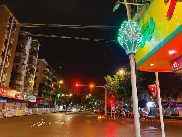 佛山“最偏远”郊区：藏在荷香里的低调小城，连路灯都开满荷花？