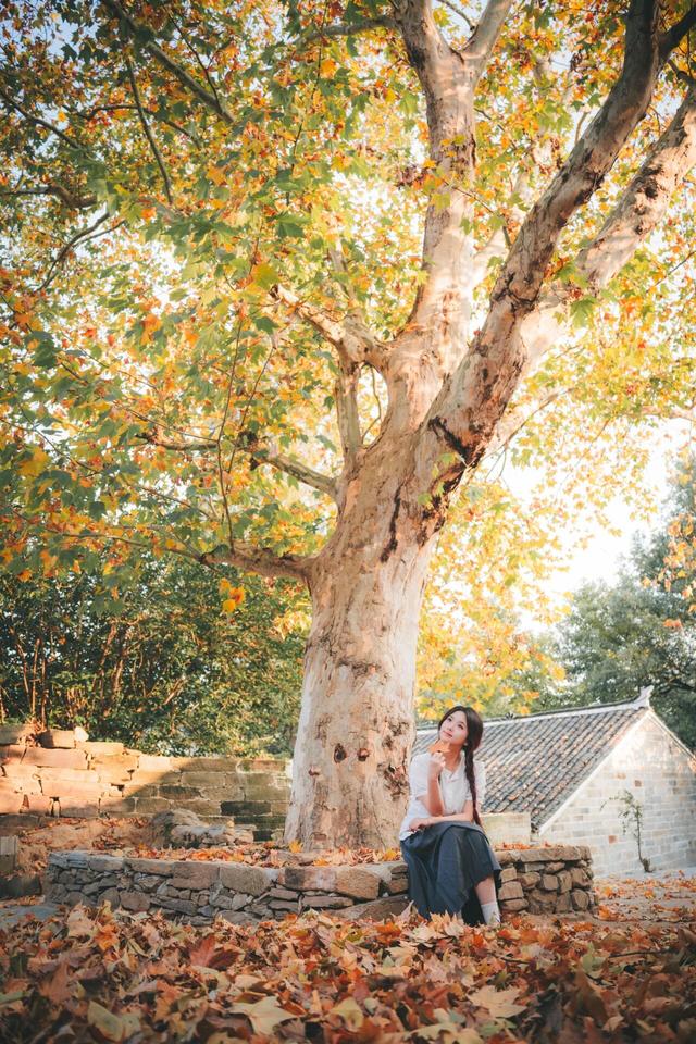 大余湾晒秋，把丰收晒成风景