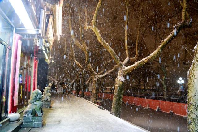 江西庐山迎来今冬第一场瑞雪