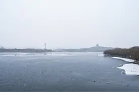 河北唐山：雪后南湖“游来一群鸭”图片