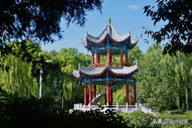 一园秋景绘凉州 诗意斑斓韵自悠