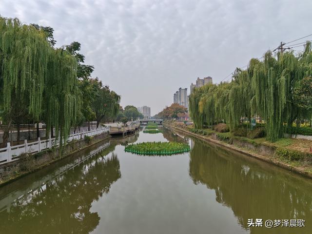 古城云梦：重阳桂花艳 千年古韵香