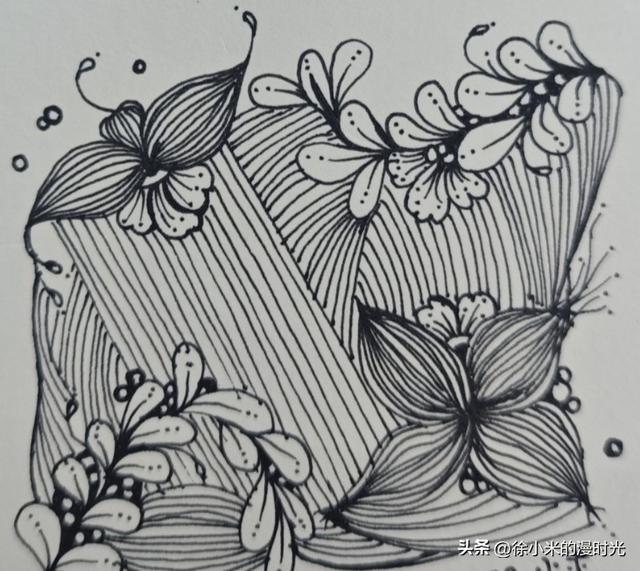 徐小米的8个生活维度，解锁2026的每日精进——1月3日，晴好微凉