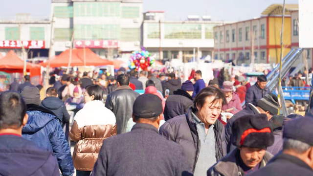 收藏！临沂三区九县赶大集全攻略，时间+地点一键get，烟火气拉满～