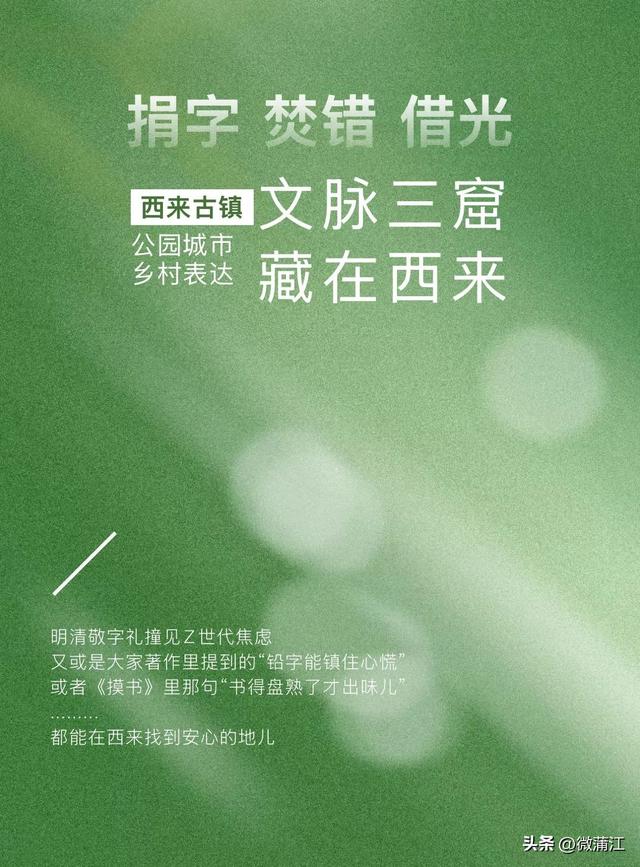 八月，于旷野中遇见成都蒲江~