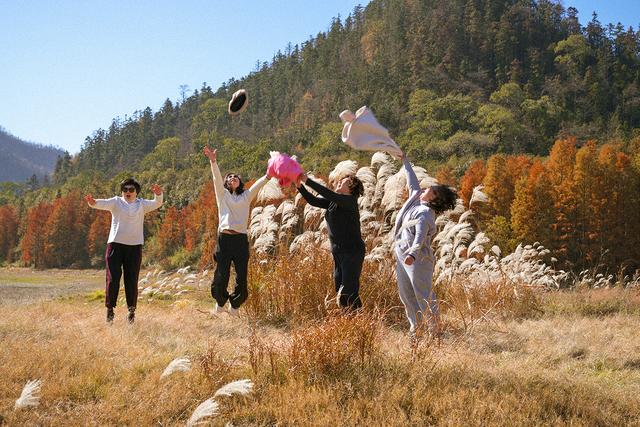 安徽黄山：茶儿垅水杉林进入最佳观赏期