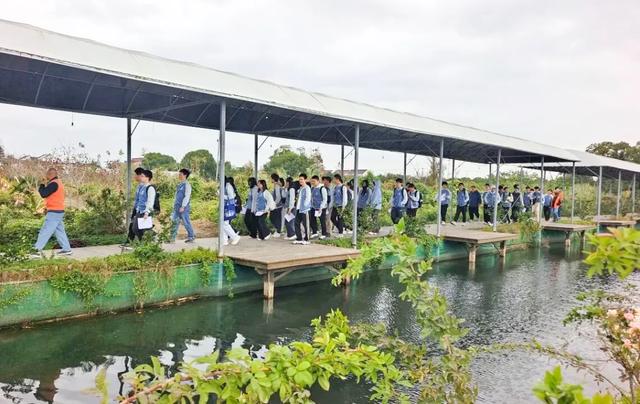 从“全域旅游”到“全域研学”!枫泾统筹资源打造素质教育新课堂