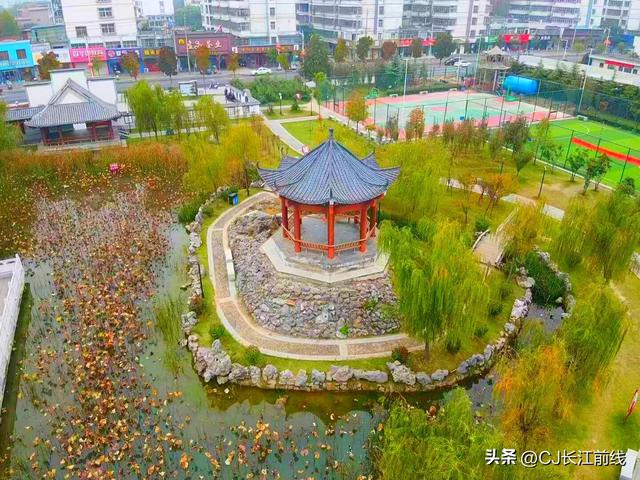 河南淮滨：秋冬韵味来到锦复园