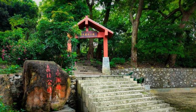码头风情、咖啡醇香、城堡童话！跟着“悦禄小双”解锁高要新玩法