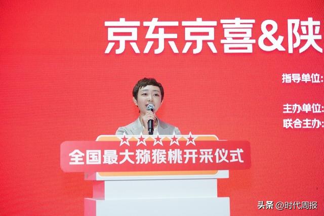 陕西猕猴桃开采：全国最大规模 京东京喜包销千万斤 同品质价格比其他平台便宜15%