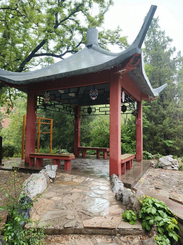 天津雨中的《红光公园》