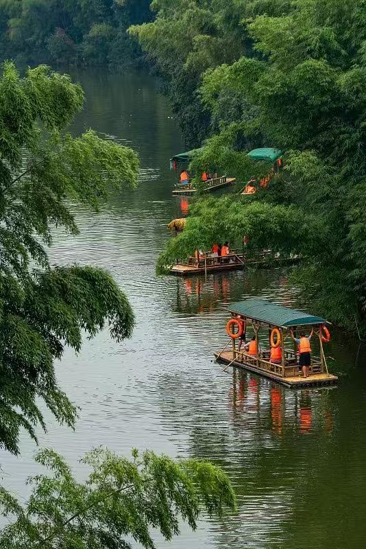 宜宾蜀南竹海游记 38军113师炮兵团火箭炮十连宜宾联谊会素描之二