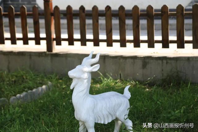 又见奇村 | 你知道吗？南高藏着一个“窑洞秘境”！