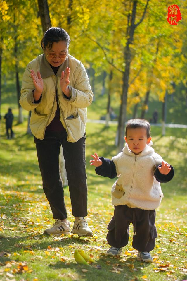 重庆中央公园的银杏黄了，奉上游玩秘籍与拍照攻略，喜欢速来