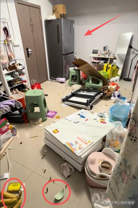 买洗碗机遭丈夫砸家后续：女子再发声，欠了外债20万 更多内情流出