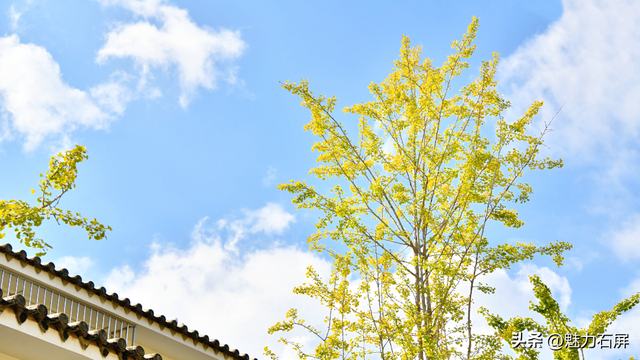 旅居吧！在石屏阳光灿烂的冬日里