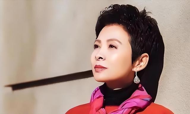 63岁董文华不再沉默，揭露当年被“封杀”原因，原来我们错怪她了