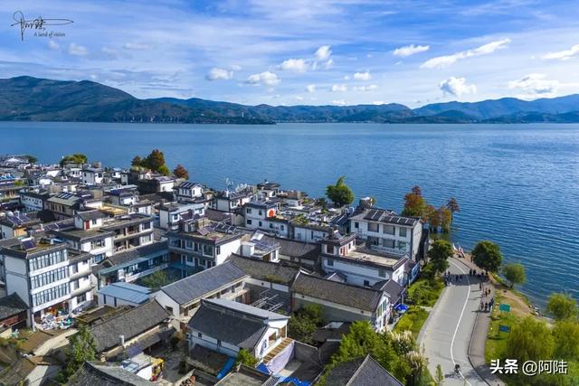 龙龛码头太有名，每天有很多人过来拍婚纱，但他们却不知道夫妻树