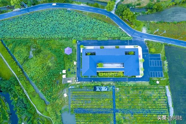 杭州最哗众取宠的荷塘在临平田立方，但营地、宠物和瓜果确实有趣