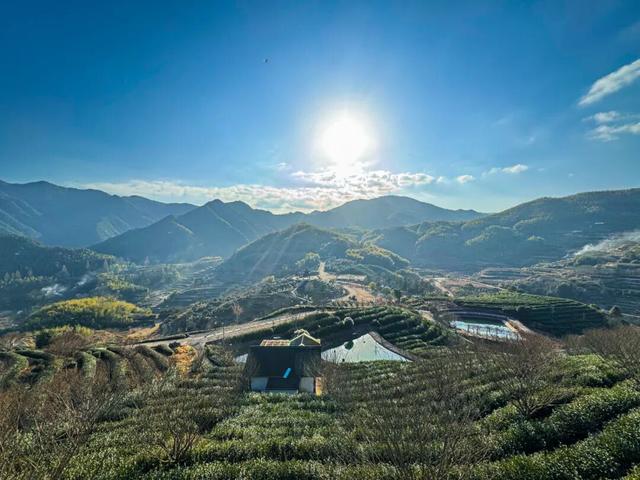 芒种行记｜望海茶，一盏香茗观山海