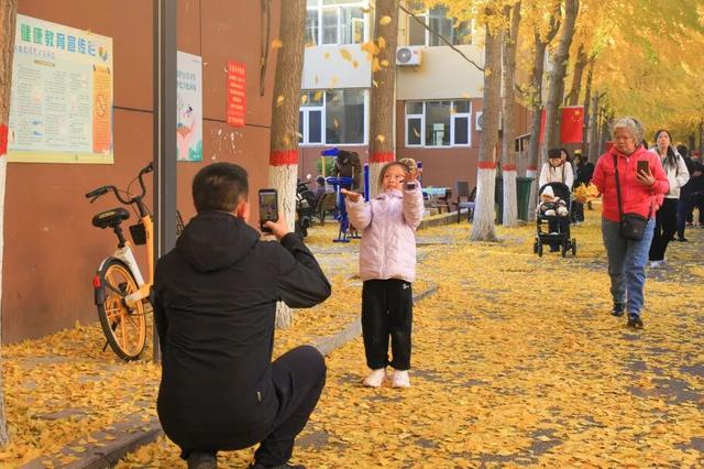 太原市迎泽区：金秋迎泽｜银杏绘就的时光画卷