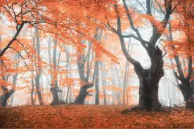 最不好惹的三个星座，天蝎座不择手段，处女座小肚鸡肠图片