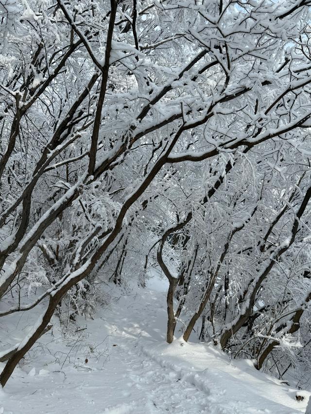 首遇云台山的雪凇美景