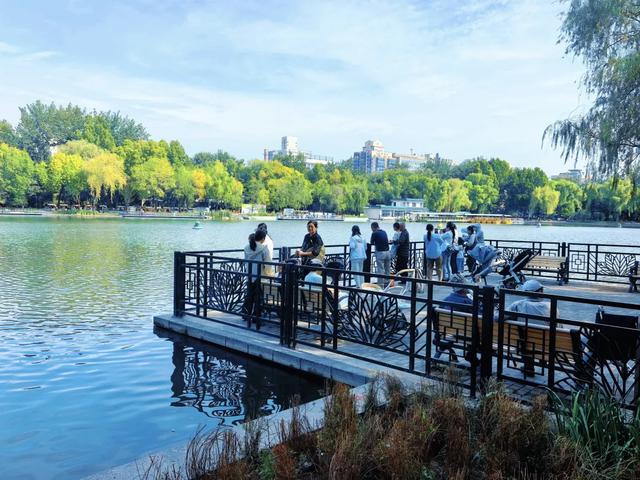 世界城市日,看东城,拔节生长——