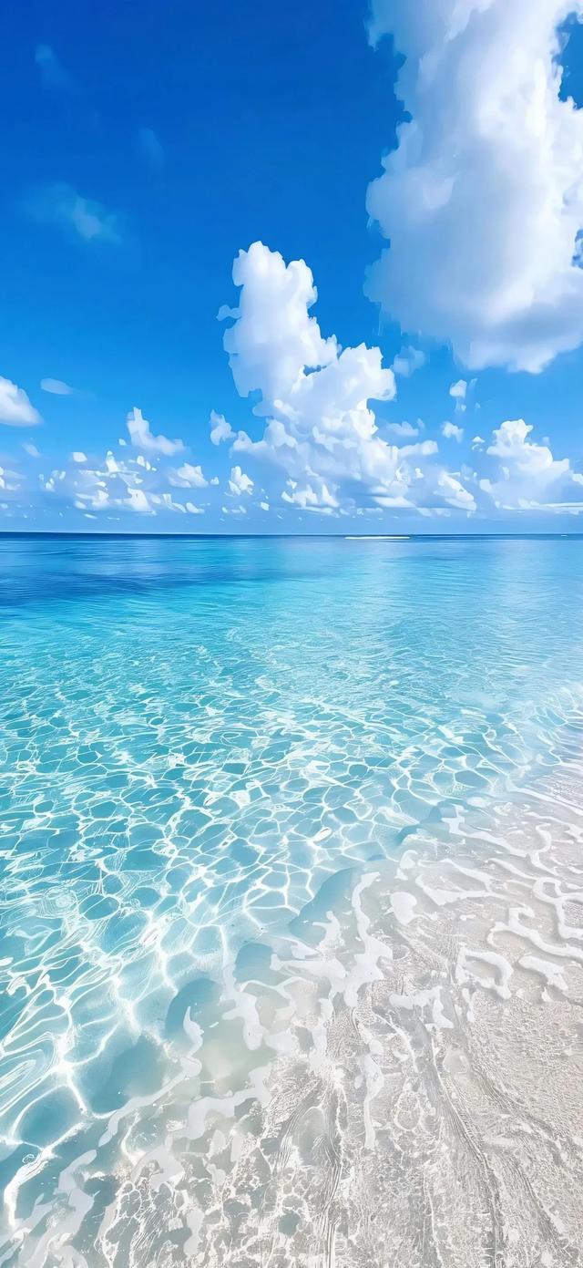 手机壁纸|海边的自然风景