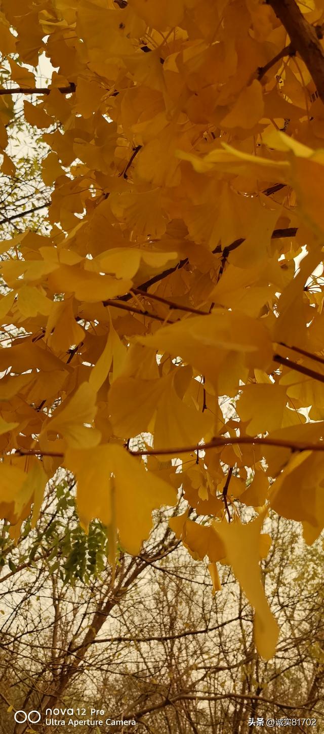 现实版的背信弃义的人，竟然挖了朋友的墙角