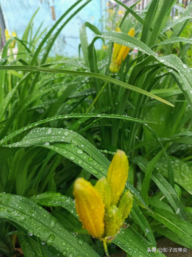 二十万，是母亲用半生琐碎攒成的给我的底气