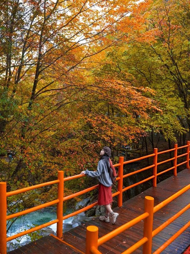 追了光雾山的红叶，这个秋天没白过！