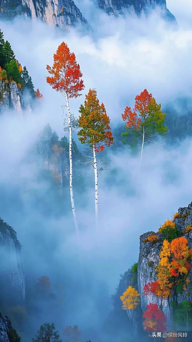 红黄绿交织流淌，在乳白雾气中洇开