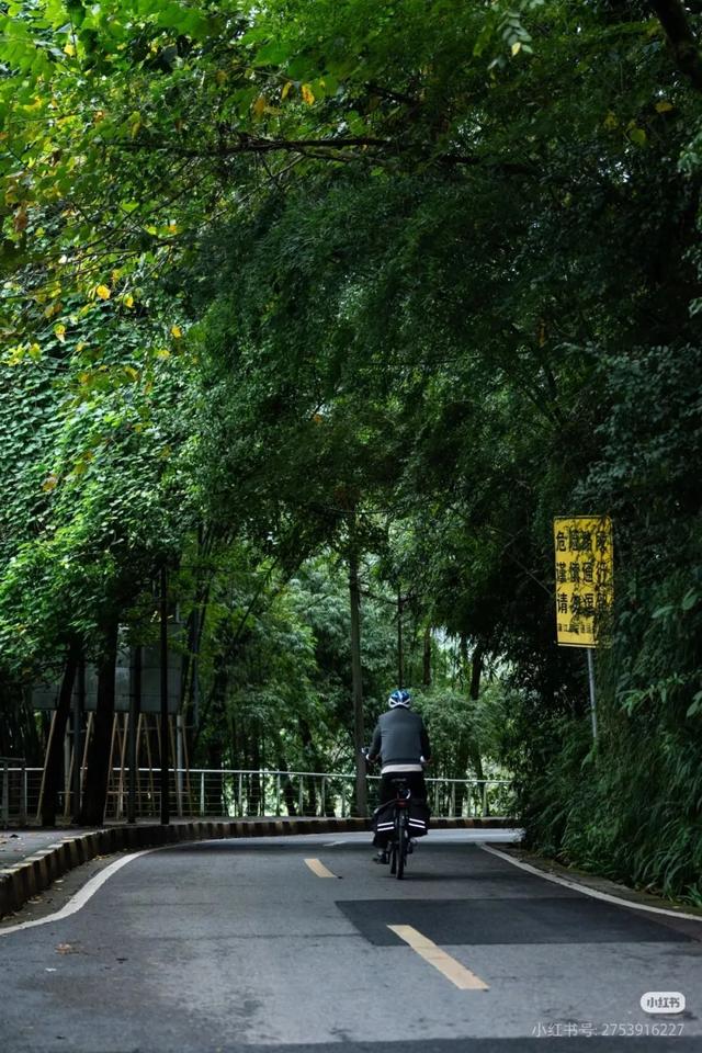 当天来回！动车40min直达冷门吸氧地，竹海徒步戏水钓鱼！物价感人、地道风味好吃到爆！