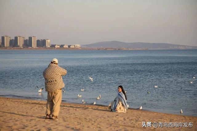 “鸥”耶！西海岸来了一批“老朋友”！