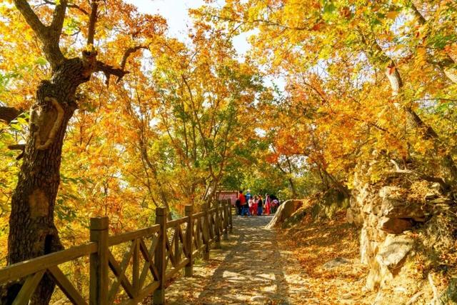 一眼惊艳！烟台这座小城最近太火了