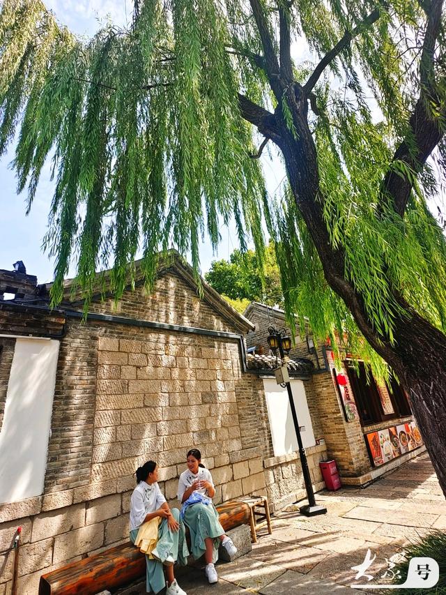 明湖垂柳曼妙多姿 游人如织景致如画